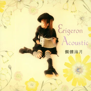 Erigeron Acoustic