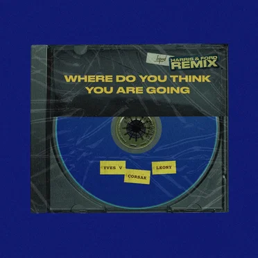Where Do You Think You Are Going (Harris & Ford remix)