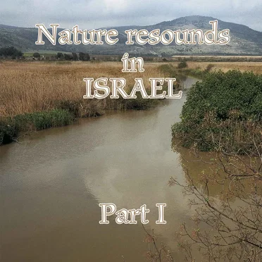 Nature Resounds in Israel - Part I