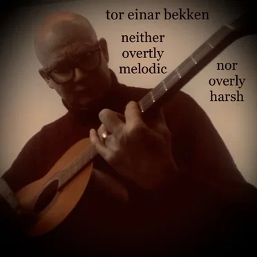 Neither Overtly Melodic nor Overly Harsh