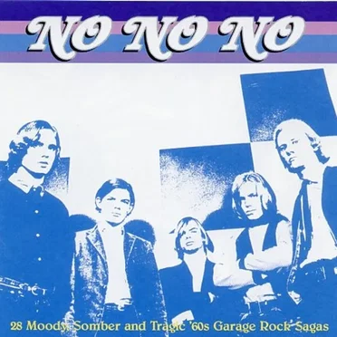 No No No by Various Artists - album cover