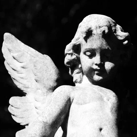 Cold Cave