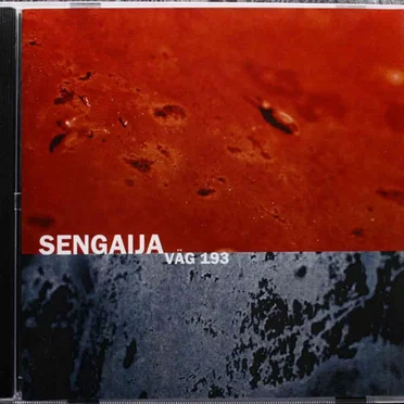 Väg 193 by Sengaija - album cover