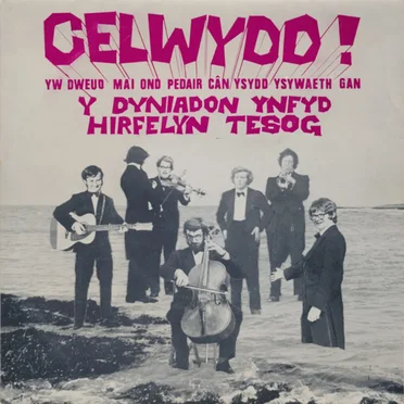 Celwydd by Y Dyniadon Ynfyd Hirfelyn Tesog - album cover