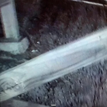 You Are All to Blame by TeamSESH - album cover