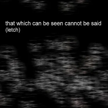 That Which Can Be Seen Cannot Be Said (Letch) by Disappearance of Anna - album cover