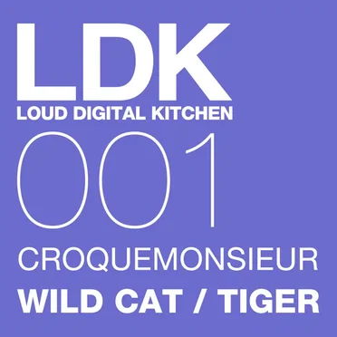 WILD CAT / TIGER by CROQUEMONSIEUR - album cover