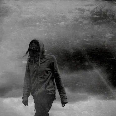 Wanderings (single edit) by Lunatic Soul - album cover