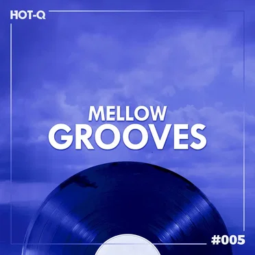 Mellow Grooves 005 by Various Artists - album cover