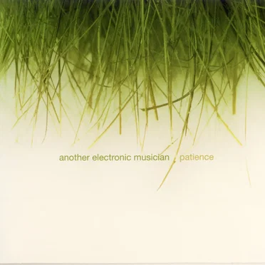 Patience by Another Electronic Musician - album cover