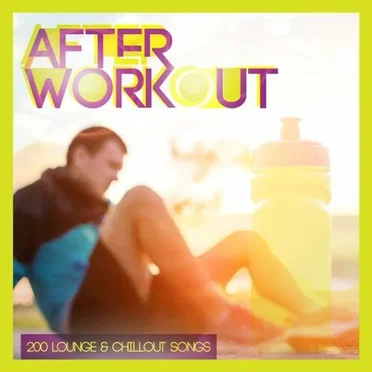 After Workout - 200 Lounge & Chillout Songs by Various Artists - album cover