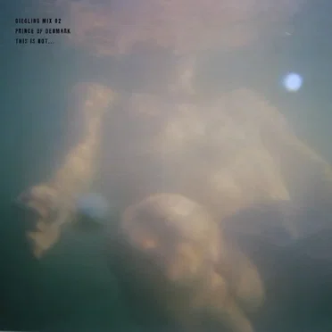 This Is Not ... by Prince Of Denmark - album cover