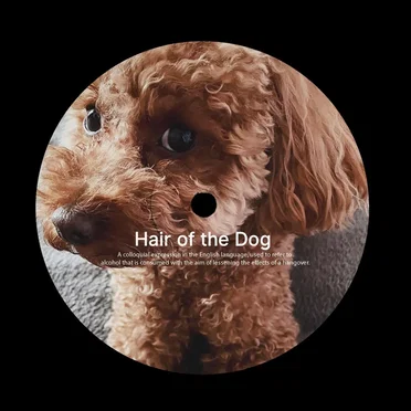 Hair of the Dog