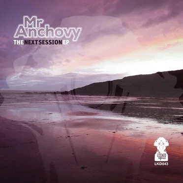 The Next Session EP by Mr Anchovy - album cover