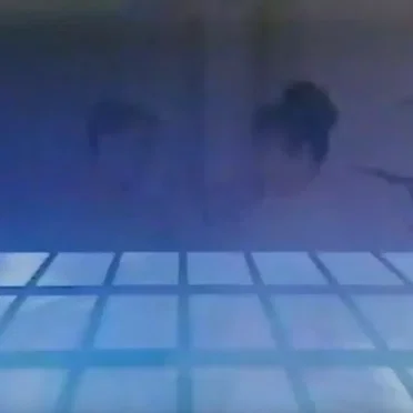 世界リフレクター