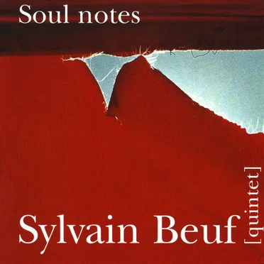 Soul notes