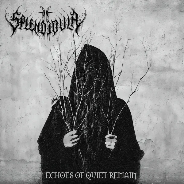 Echoes of Quiet Remain