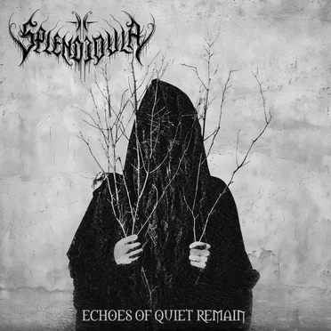 Echoes of Quiet Remain
