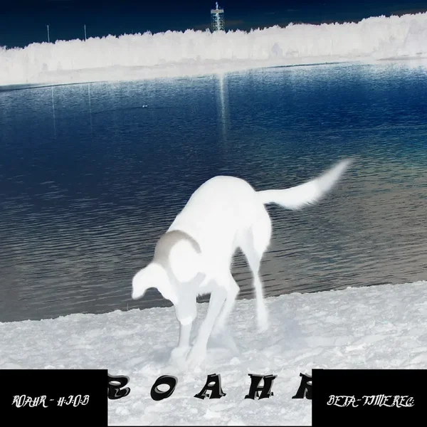 Roahr