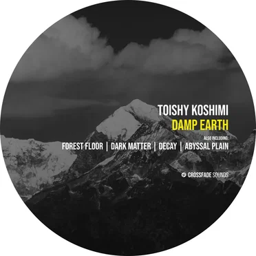 Damp Earth by Toishy Koshimi - album cover