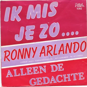 Ik mis je zo... / Alleen de gedachte