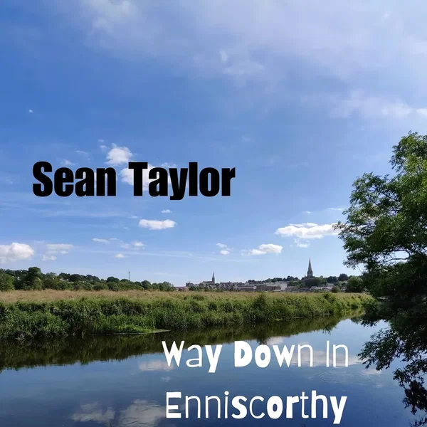 Way Down In Enniscorthy