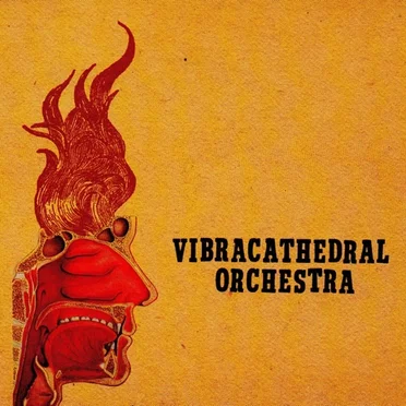 Wisdom Thunderbolt