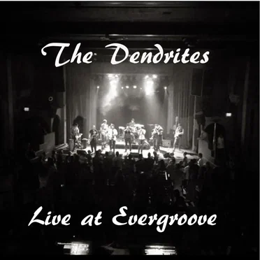 Live at Evergroove