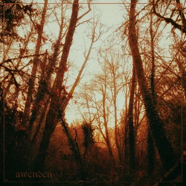 Golden Hour by Awenden - album cover