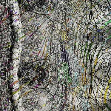 The Seven White Poplars / Interspace by Kirtan Electric Dream - album cover