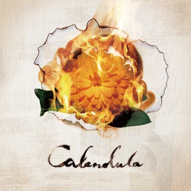 Calendula by a crowd of rebellion - album cover