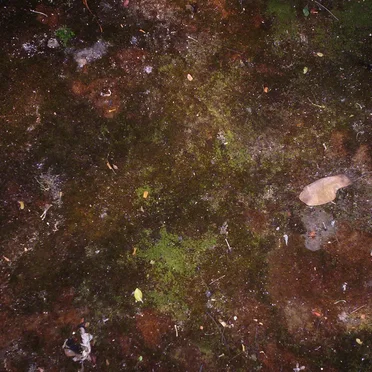 Live in Portland, Yale Union (Daniel Menche remix)