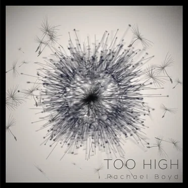 Too High by Rachael Boyd - album cover
