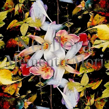 Memento Mori by Neoflora - album cover