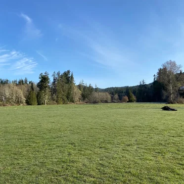 Back when those were fields