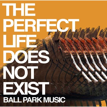 The Perfect Life Does Not Exist by Ball Park Music - album cover