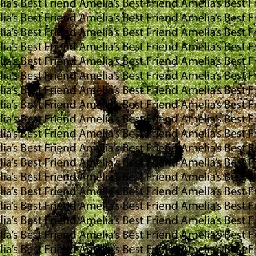 Put You Down/Be Safe by Amelia's Best Friend - album cover