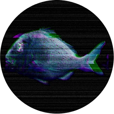 002 by Shards - album cover