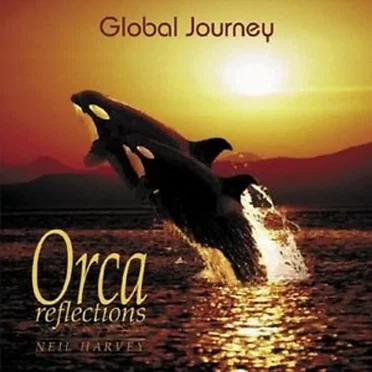Orca Reflections