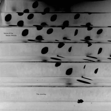 The Journey by Voice of the Seven Woods - album cover