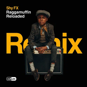 Balaclava (Skeptical remix) by Shy FX - album cover