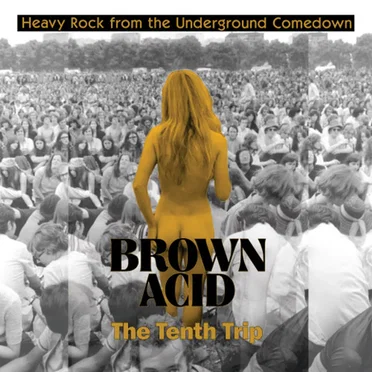Brown Acid: The Tenth Trip by Various Artists - album cover