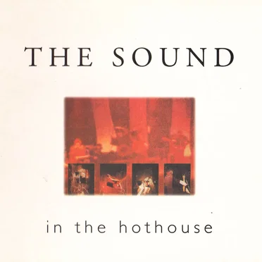 In the Hothouse by The Sound - album cover