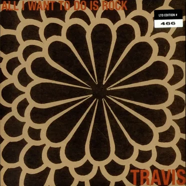 All I Want to Do Is Rock