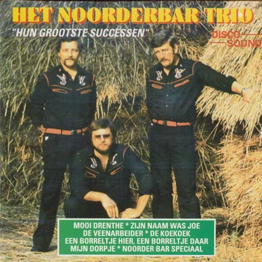 Hun grootste successen