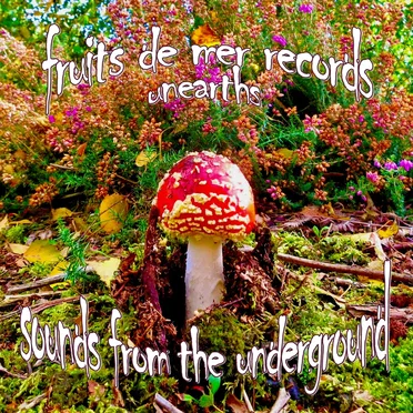 Fruits de Mer Records Unearths: Sounds From the Underground by Various Artists - album cover