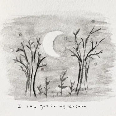 I saw you in my dream