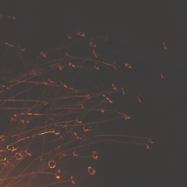 двенадцать месяцев зимы