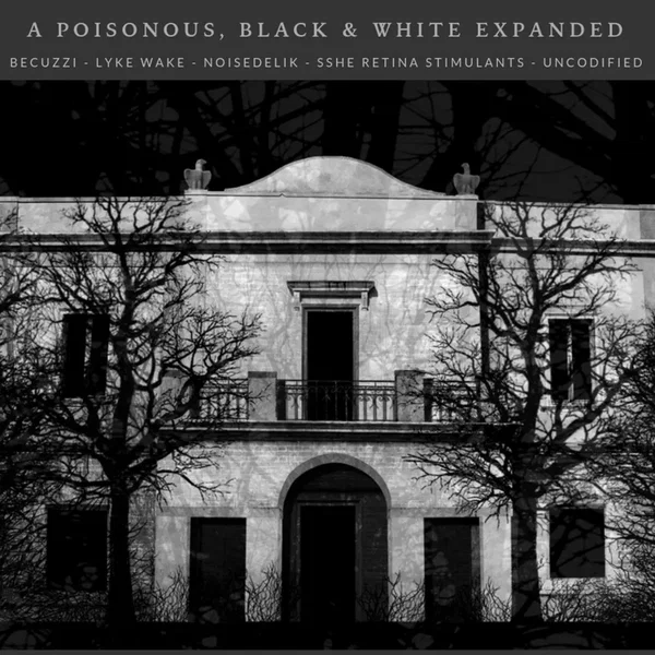 A Poisonous, Black & White Iridescence Across Dangerously Amorphous Urban Landscapes