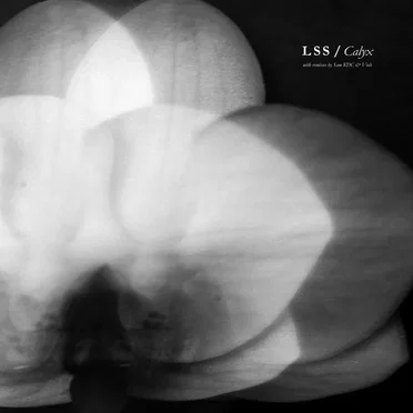 Calyx by LSS - album cover